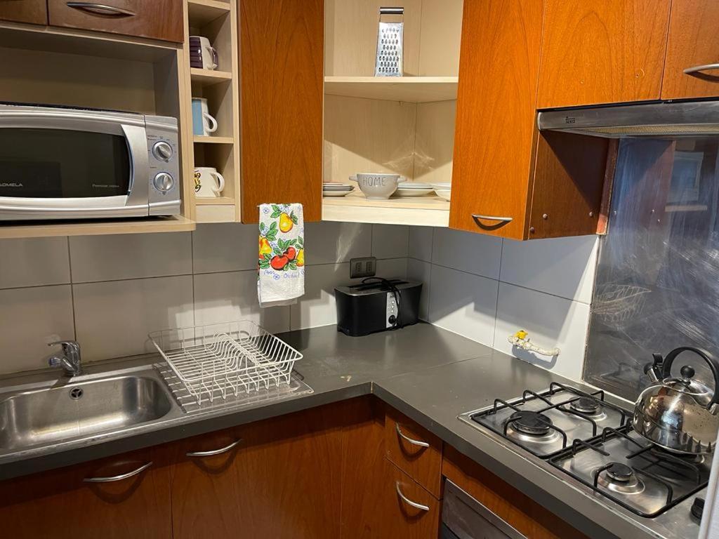 Forestal Suite Apartment Santiago de Chile Zewnętrze zdjęcie